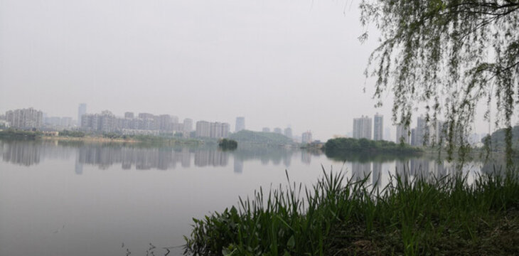 植物園湖景