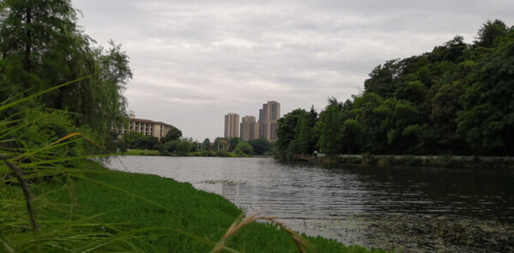 益陽景色