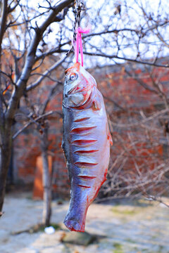 腌魚