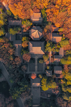 秋天的高麗寺