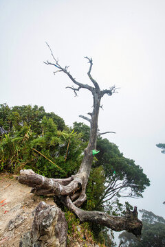 三亞天涯海角景區(qū)