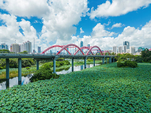 深圳羅湖區(qū)洪湖公園