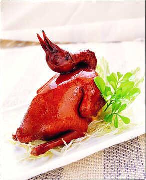 中山妙齡鴿
