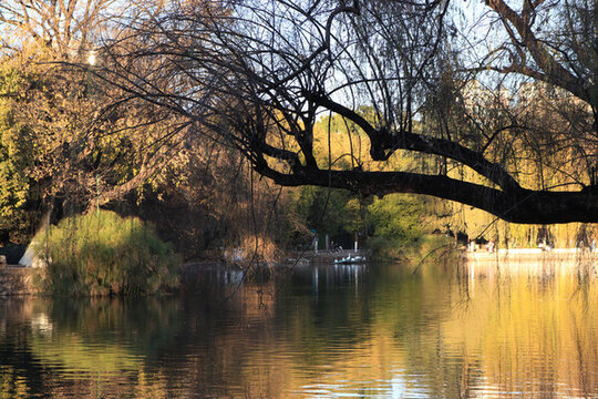 公園