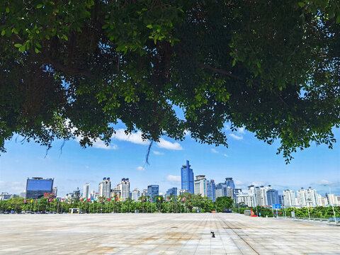 夏日城市綠蔭