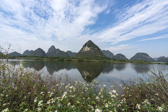 柳州千畝湖藍(lán)天白云雛菊