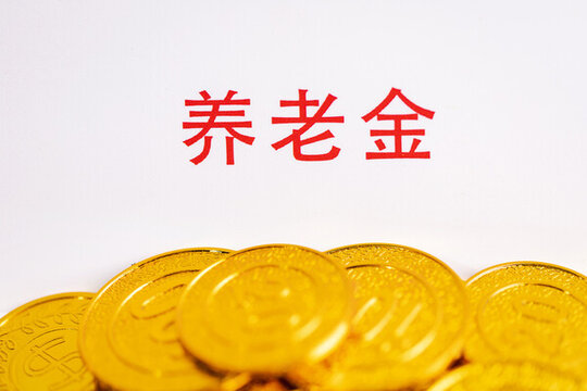 保險(xiǎn)醫(yī)療保險(xiǎn)養(yǎng)老保險(xiǎn)養(yǎng)老金