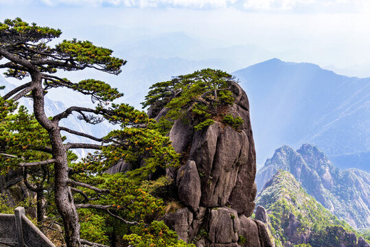 黃山風(fēng)光