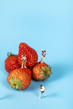 新鲜水果草莓微缩创意