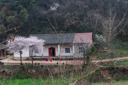 農(nóng)舍