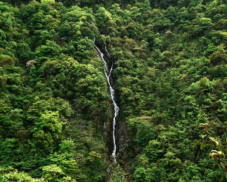山中溪澗