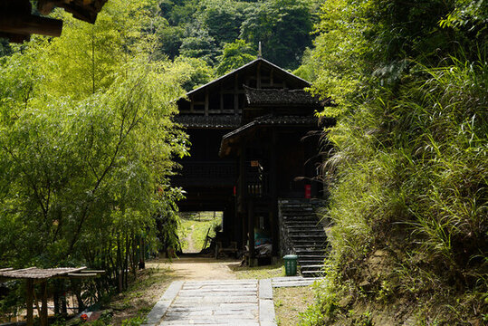 古村落竹林里的吊腳樓