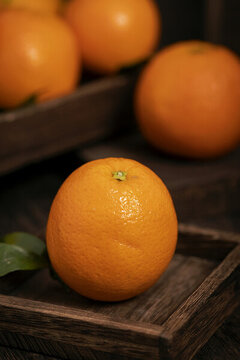 橙子水果暗调风格图片