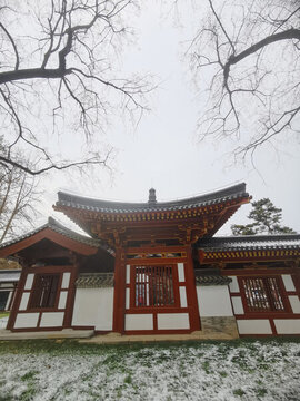 興慶宮雪景