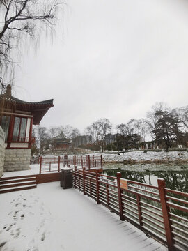 興慶雪景