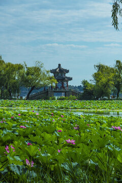 北京頤和園夏日風(fēng)光