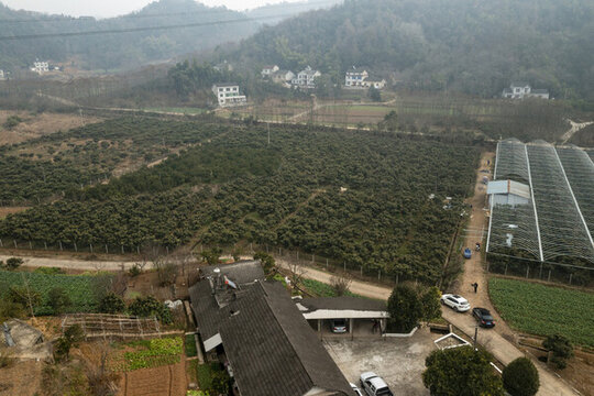 枇杷園航拍