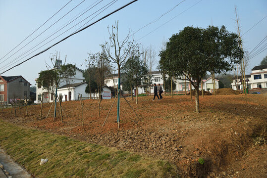 美麗鄉(xiāng)村建設(shè)節(jié)點