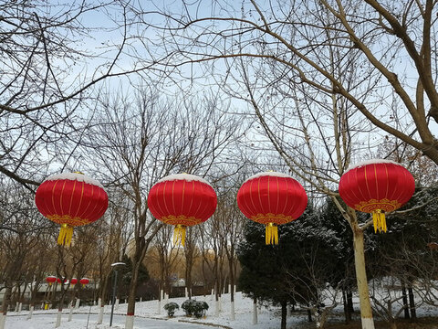 雪后紅燈籠