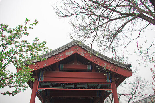 北京胡同建筑群