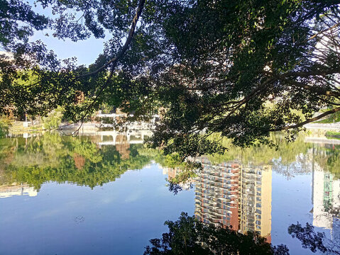 公園景色素材
