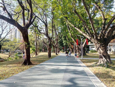 公園風(fēng)光景色素材