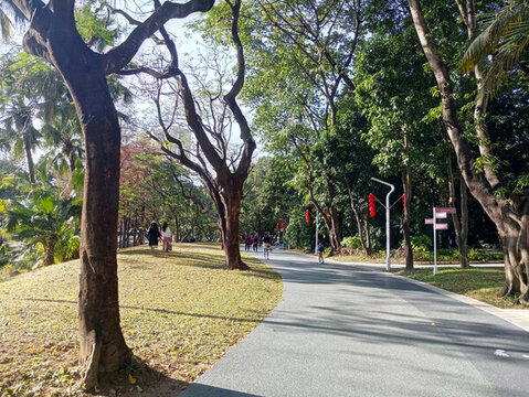 公園風(fēng)光景色素材
