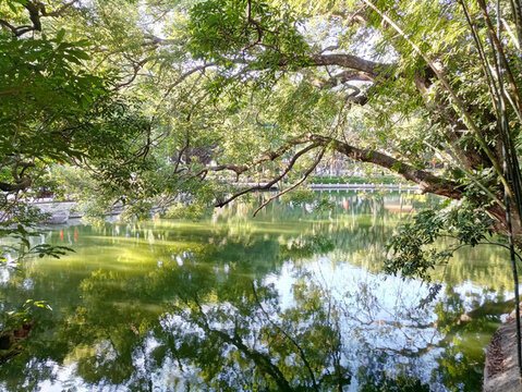 公園景色素材