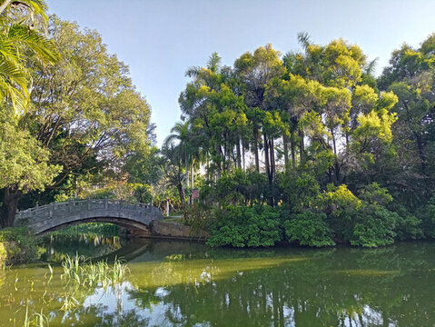 公園景色素材