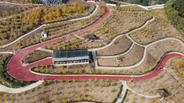 航拍重慶臘梅觀光園