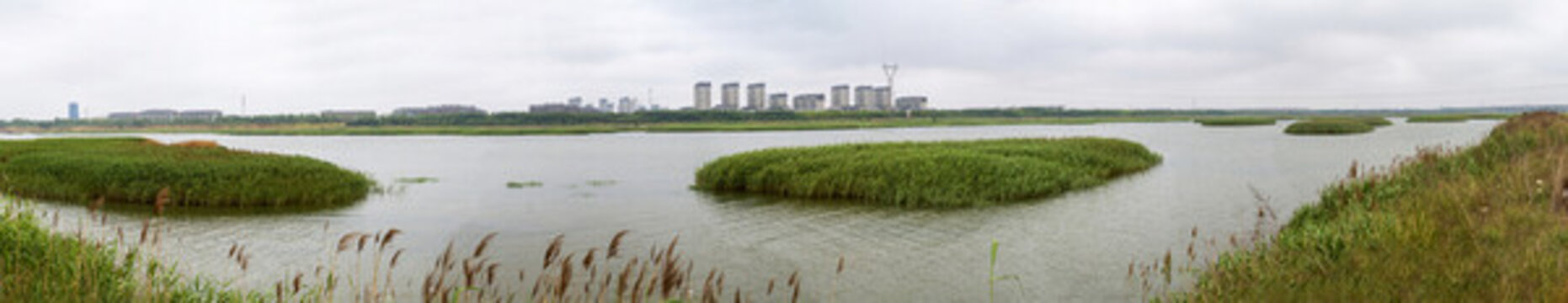 大沽河