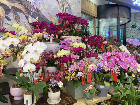 鮮花商店