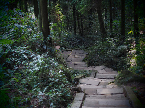 山路