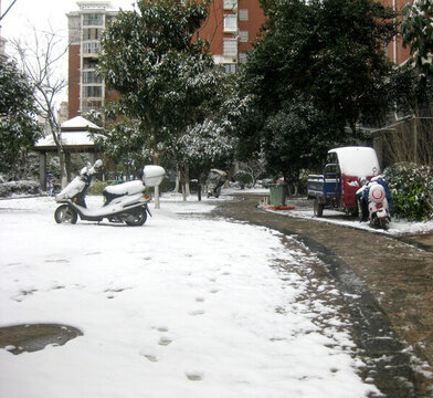 小區(qū)兔年雪景