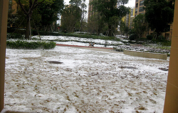 小區(qū)兔年雪景
