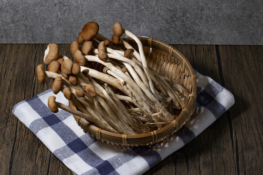 新鮮茶樹(shù)菇