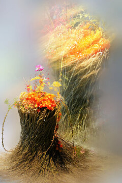 花卉藝術(shù)