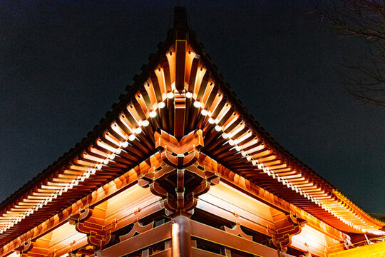 興慶宮公園夜景