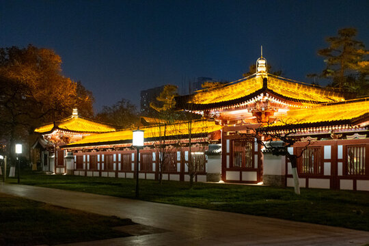 興慶宮公園夜景