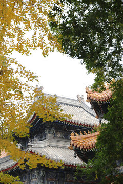 北京萬壽寺