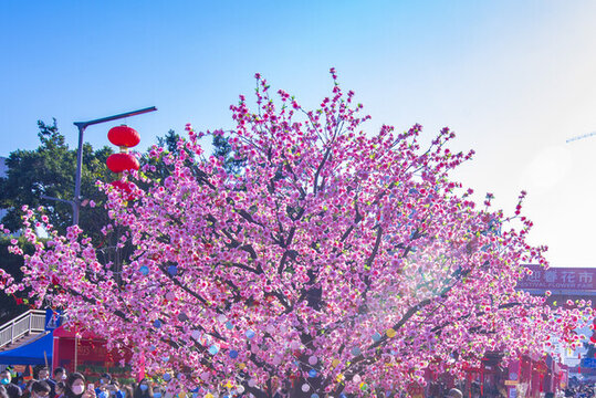 羅湖花市