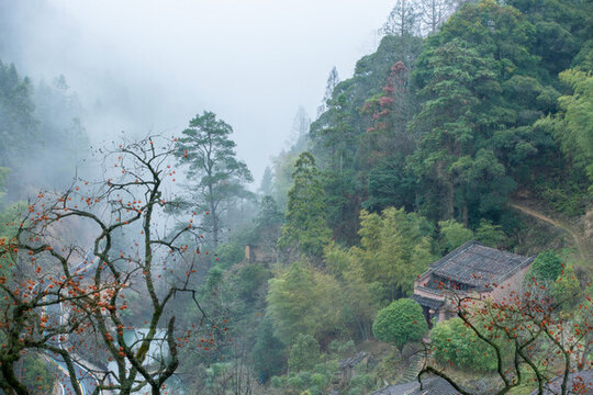 畫意山村