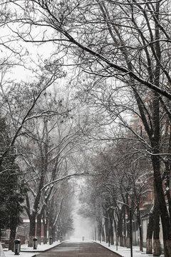 雪后馬路