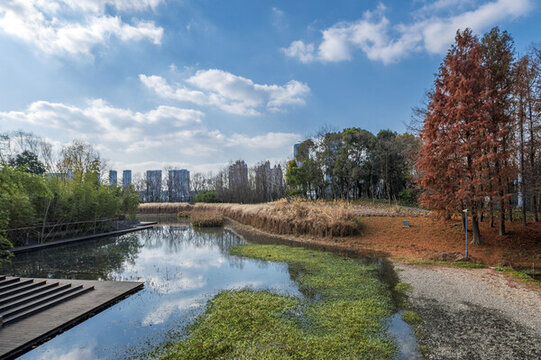 城市公園自然景觀