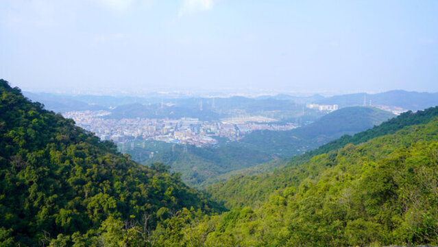 山林城市東莞風(fēng)光
