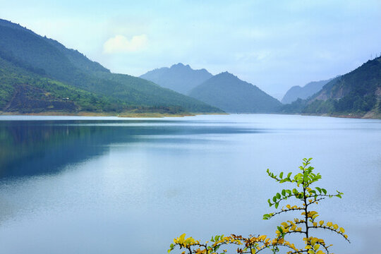 水庫湖泊景觀