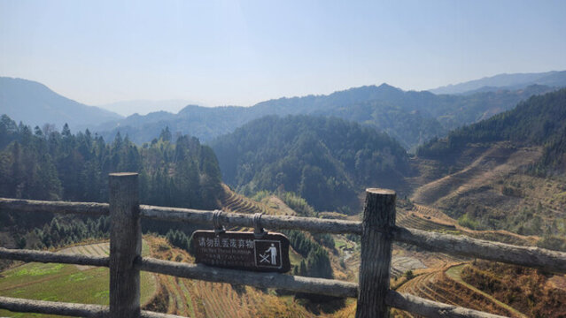 龍脊梯田