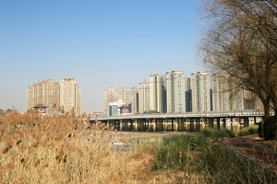 洛河大橋