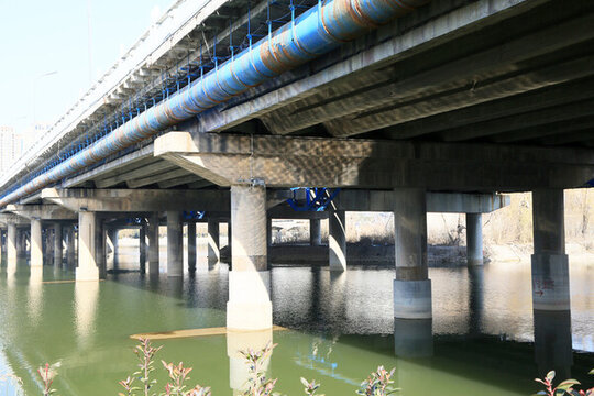 洛陽(yáng)橋剪影