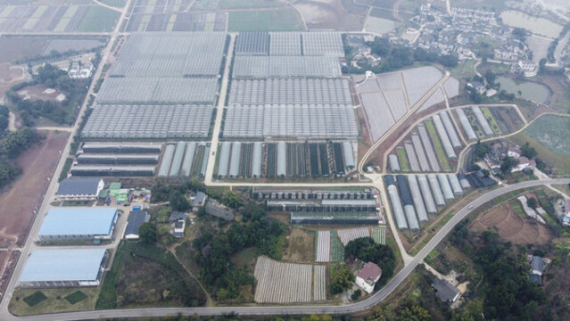 航拍大棚蔬菜種植基地